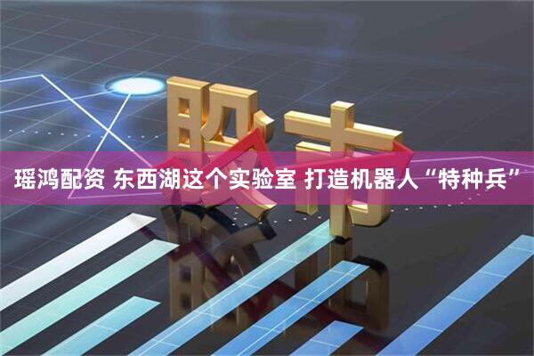 瑶鸿配资 东西湖这个实验室 打造机器人“特种兵”